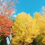 初ブログ✨✨✨