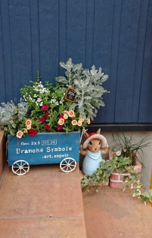 お気に入りの鉢