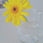 よもぎ蒸しとエステ