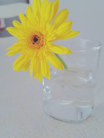 よもぎ蒸しとエステ